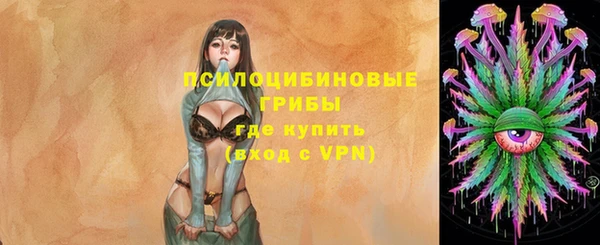 дживик Губаха