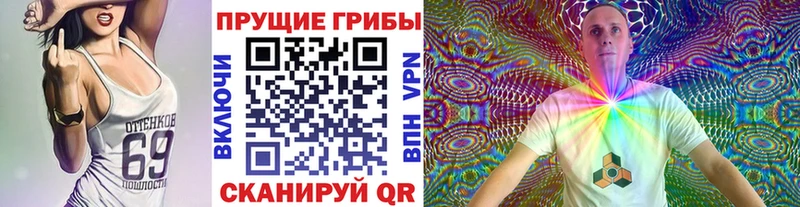 Псилоцибиновые грибы Magic Shrooms  ссылка на мегу зеркало  Старая Купавна  закладки 