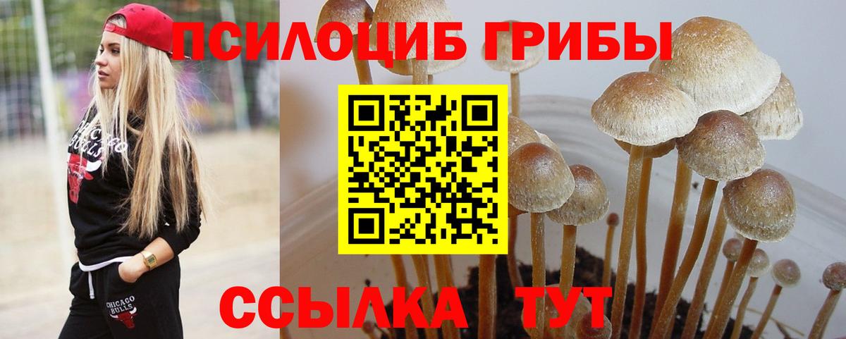Галлюциногенные грибы Magic Shrooms  Псилоцибиновые грибы ЛСД  Вход с VPN  Старая Купавна 