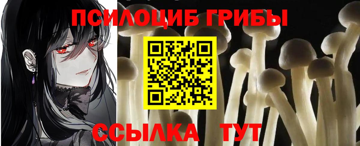 Галлюциногенные грибы GOLDEN TEACHER Старая Купавна
